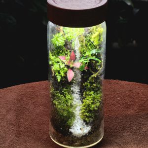 JADUR JAR
