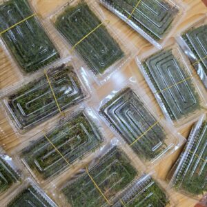 Moss Box