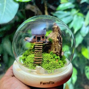 A Hill House Terrarium (Zero Maintenance Preserved)
